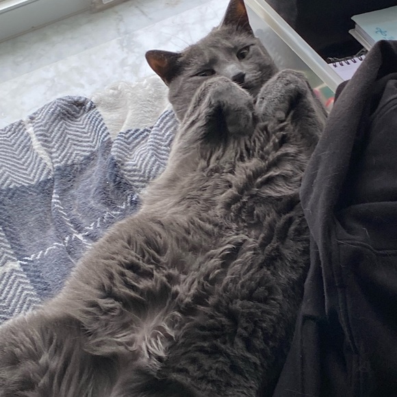 Meet your Posh Ambassador, Jennifer - Picture 5 of 13